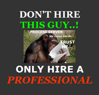 Professional Process Service